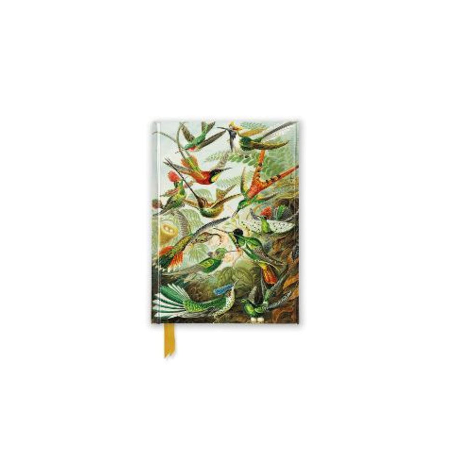 Ernst Haeckel Hummingbirds Pocket Notebook