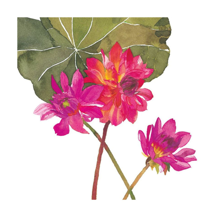 Pink Dahlias Greeting Card