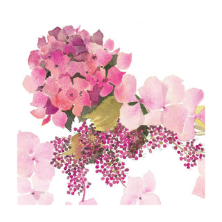 Pink Hydrangea Greeting Card